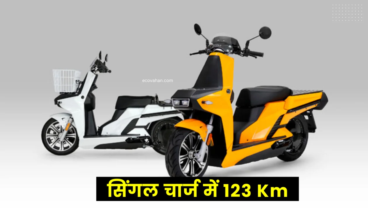 Aidea AA-Wiz Electric Catgo Scooter